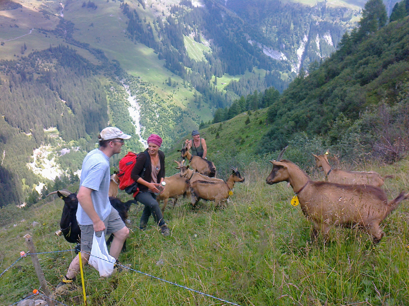 Alpwanderung
